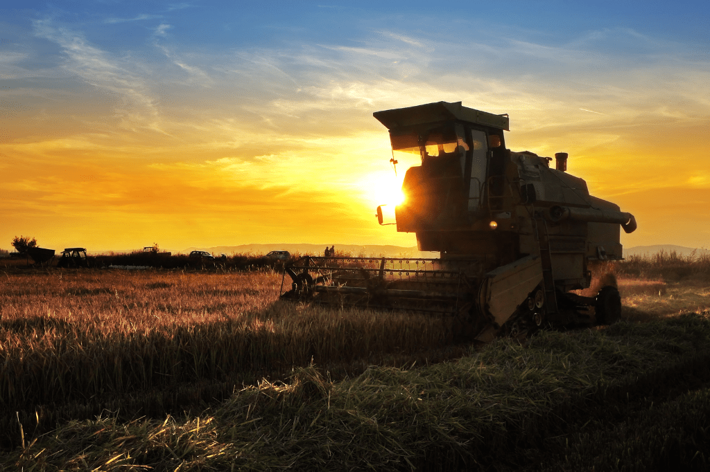 Após queda em 2022, agronegócio deve ser o motor da economia brasileira neste&nbsp;ano